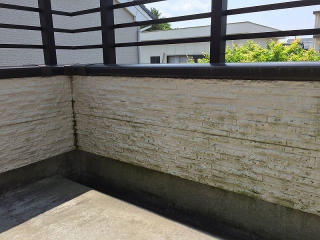 ベランダ手すり側の立ち上がり壁に苔・カビ